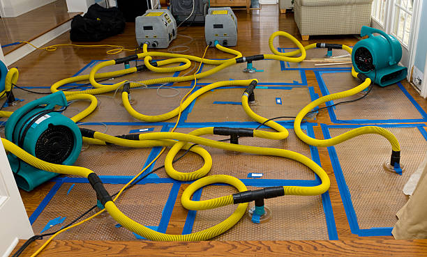 Professional Water Extraction technician working in Hull, MA